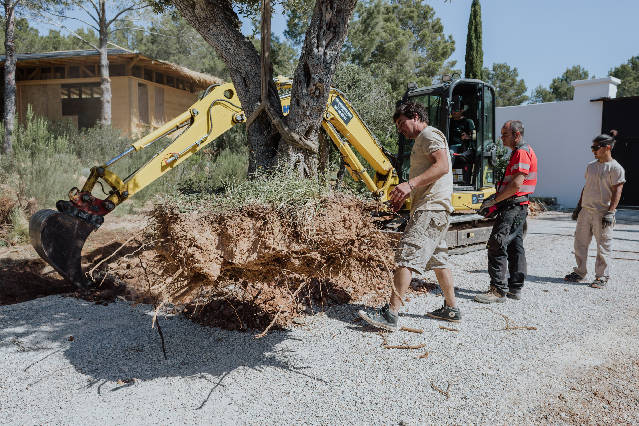 construcción-jardín-ibiza