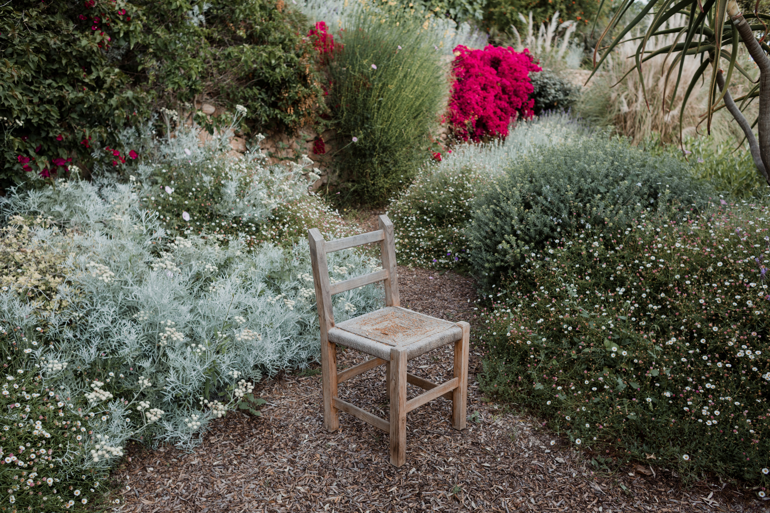 diseño-jardines-ibiza