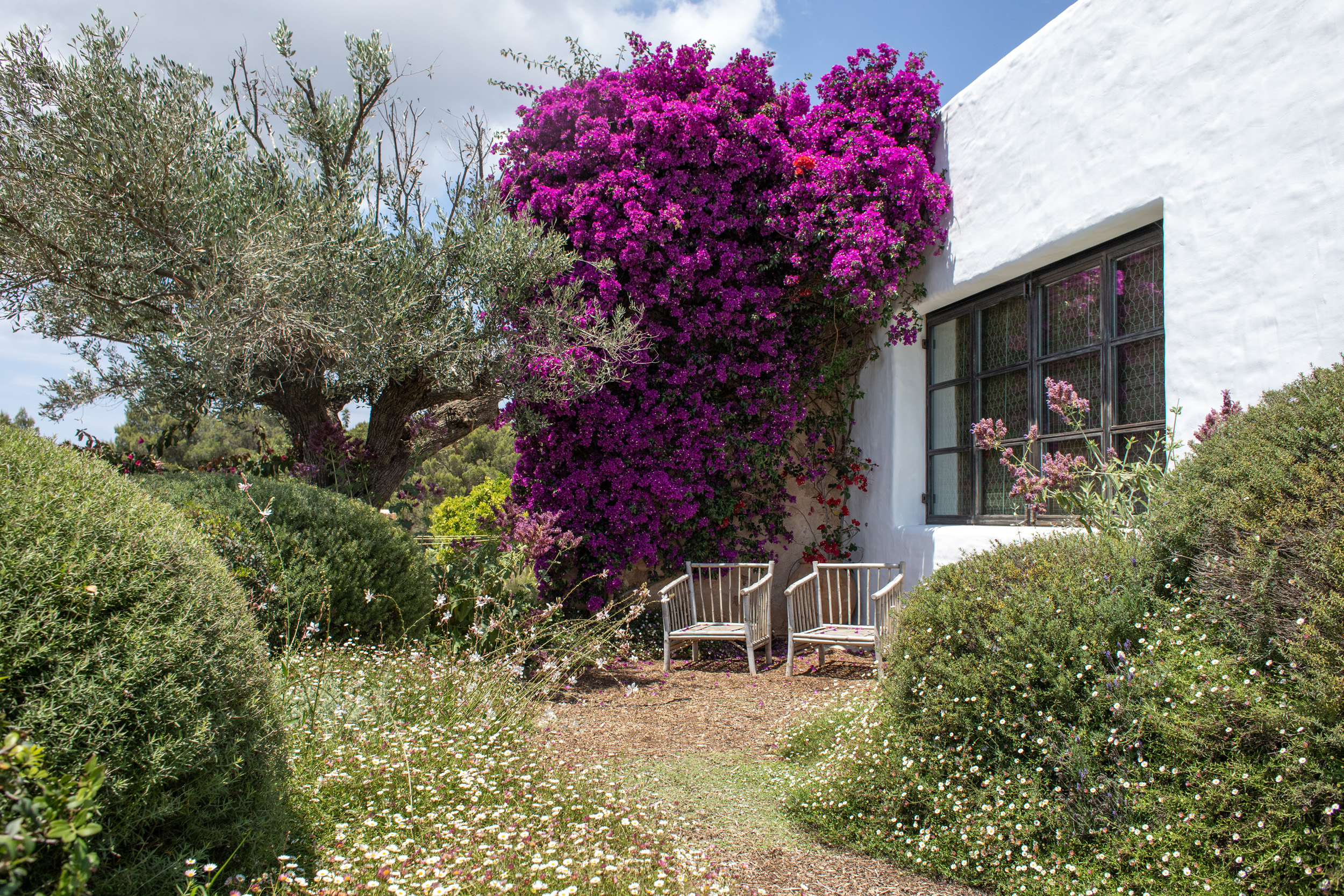 garden-design-ibiza