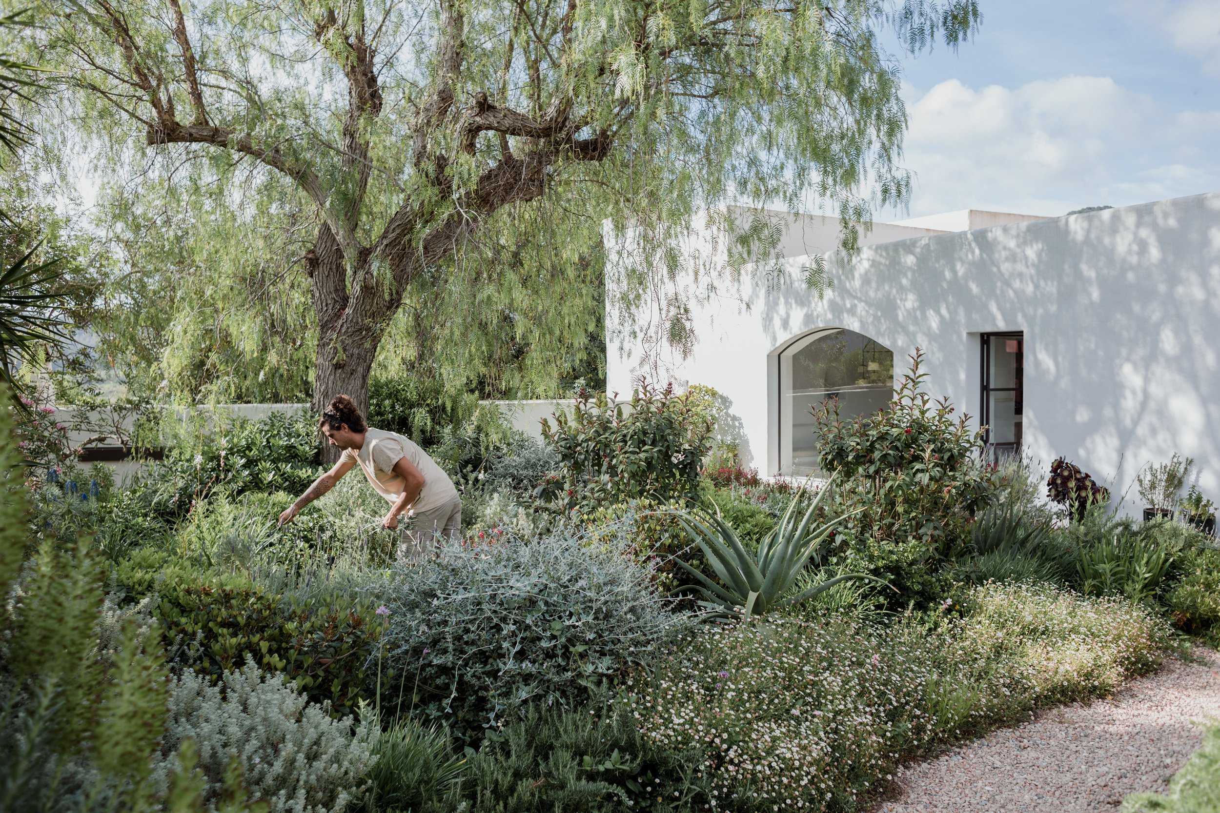 landscaping-ibiza-paisajismo