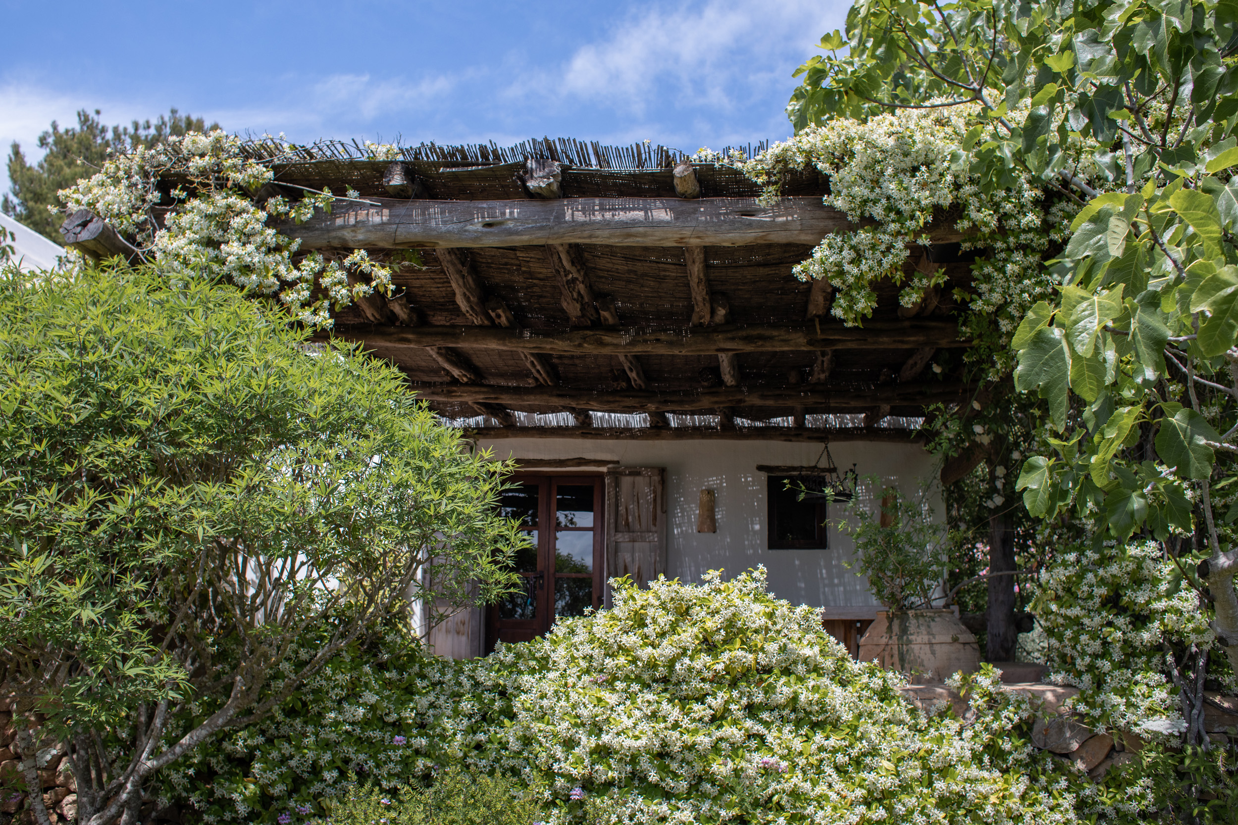 landscaping-ibiza