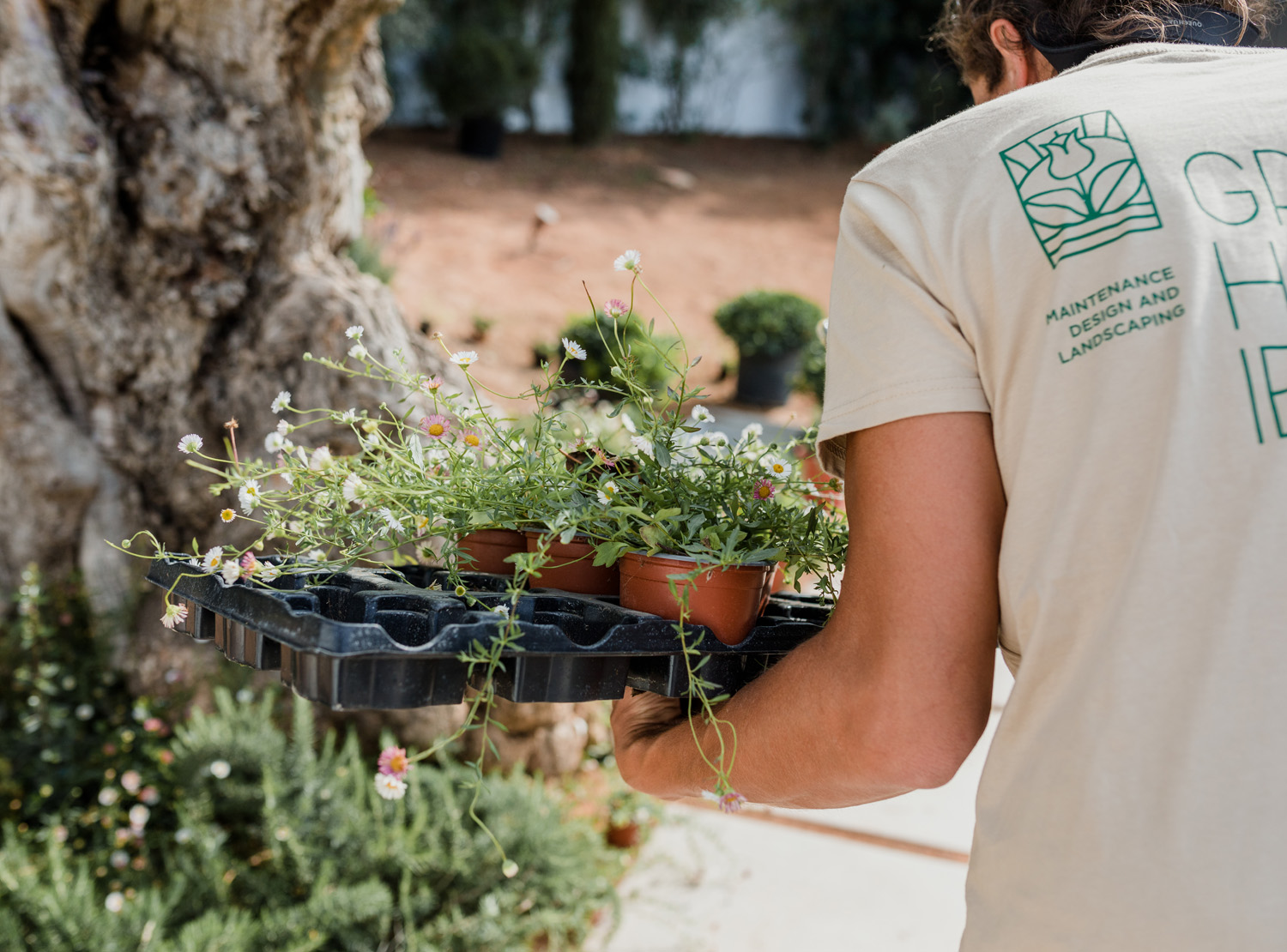 planting-gardening-ibiza