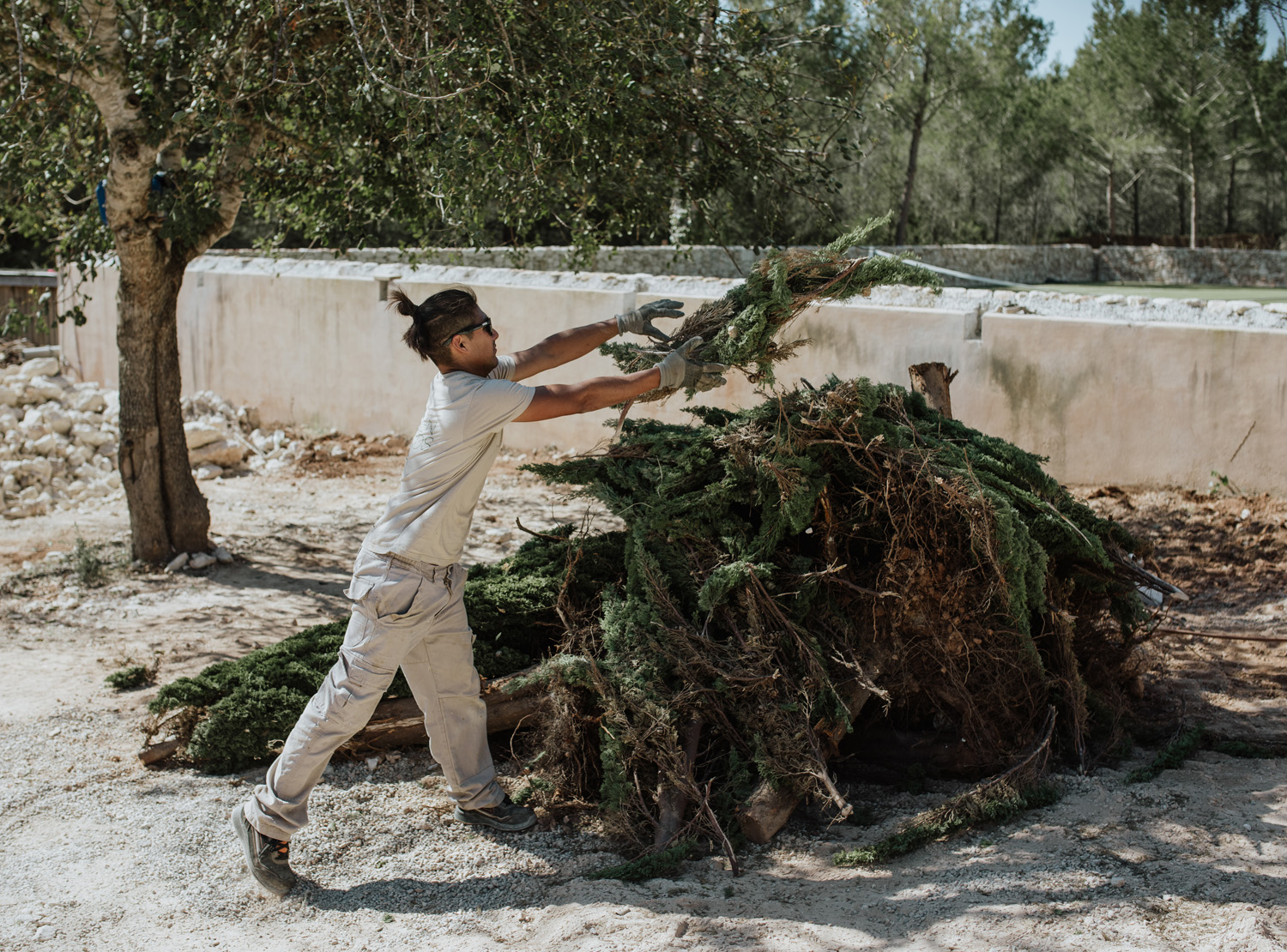 poda-ibiza
