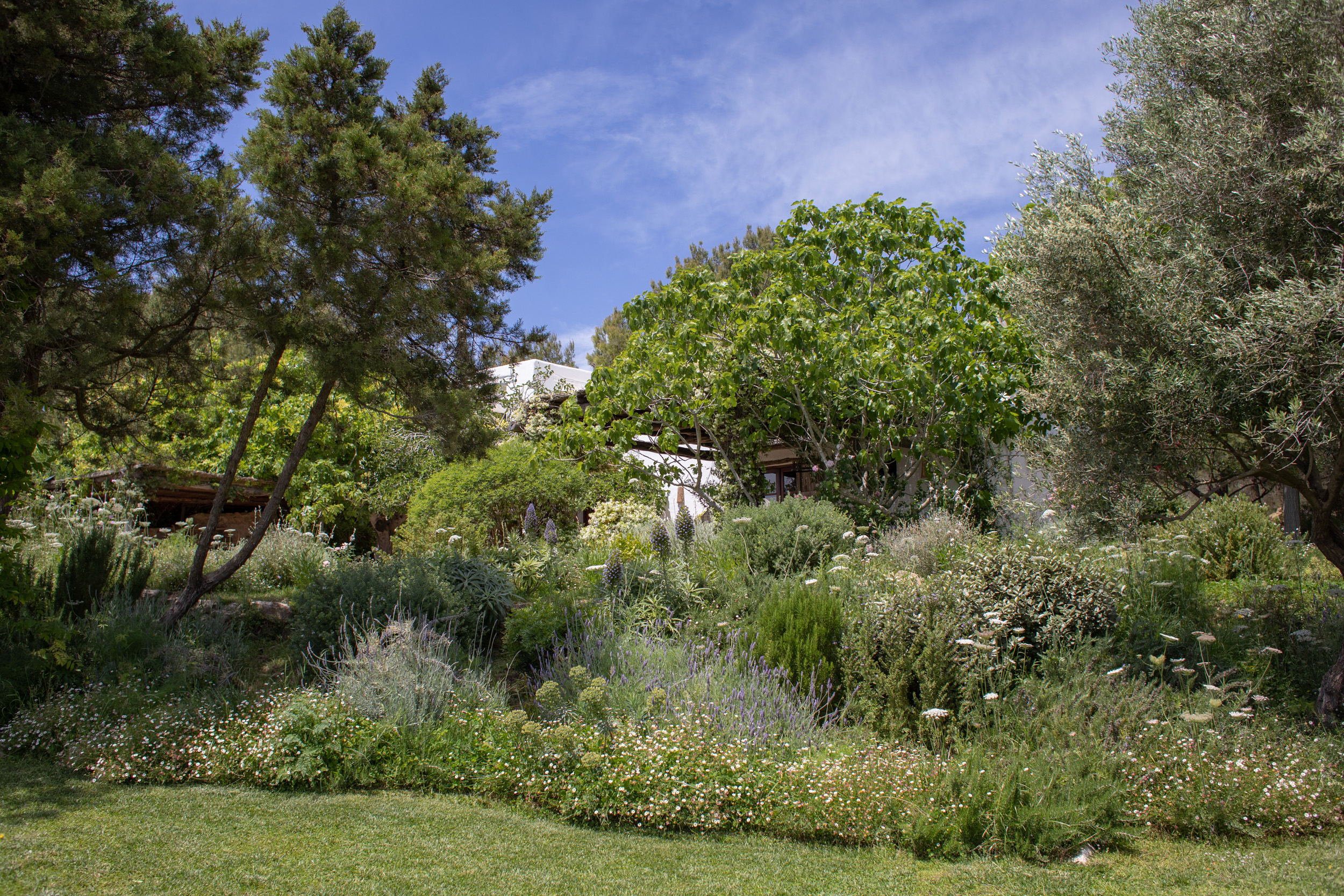 garden-landscaping-service-ibiza